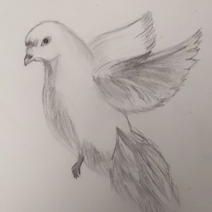 Meet your Posher, Marian